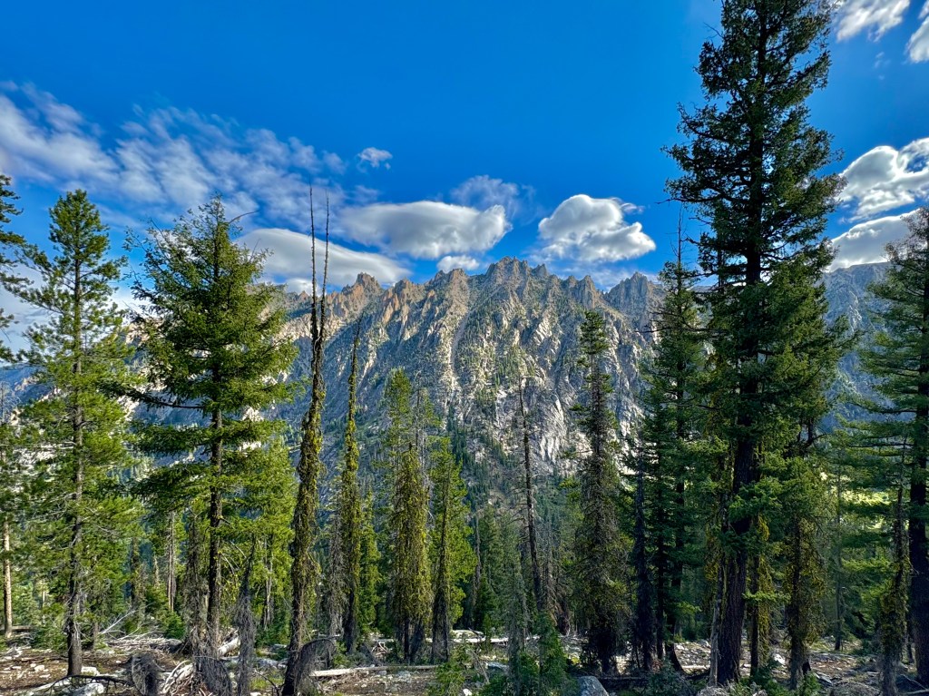 Nudging #105 – Sept. 4 “He Said&nbsp;Nothing”