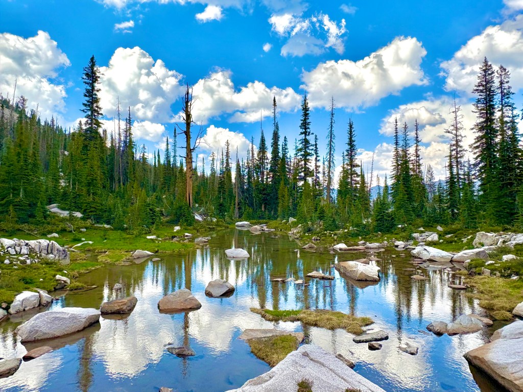 Nudging #111 – Oct. 16, “The Little&nbsp;Things”