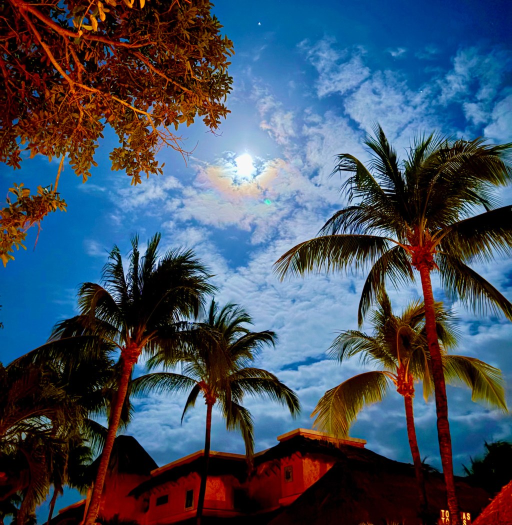 Mmm… That’s Rich